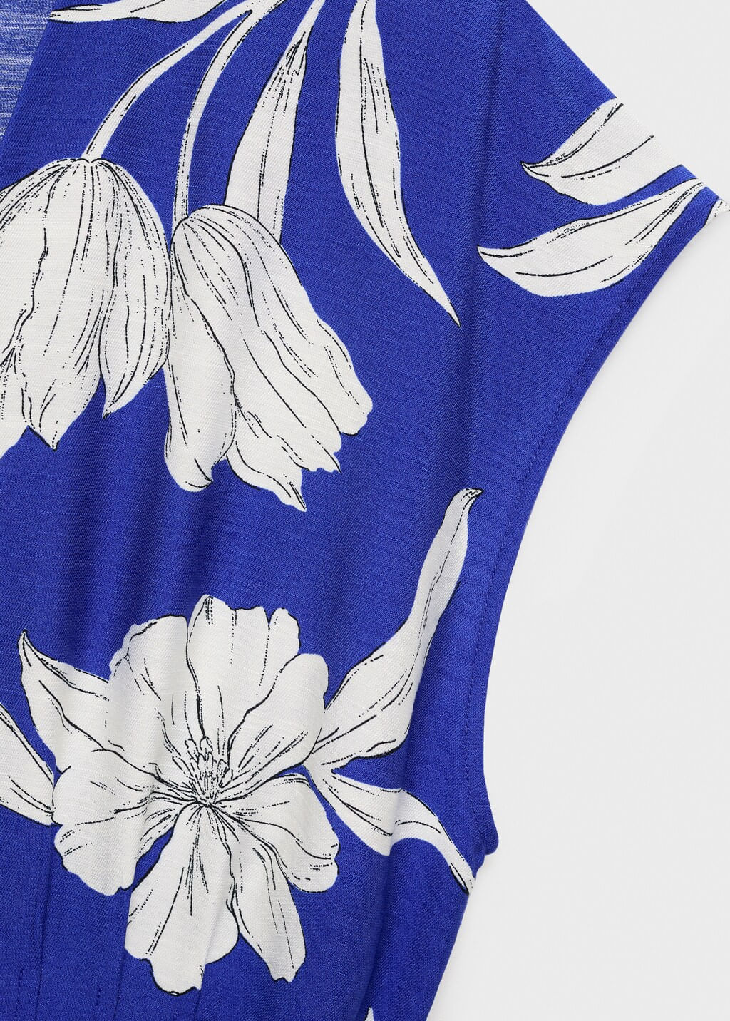 Mono-Lorain-azul