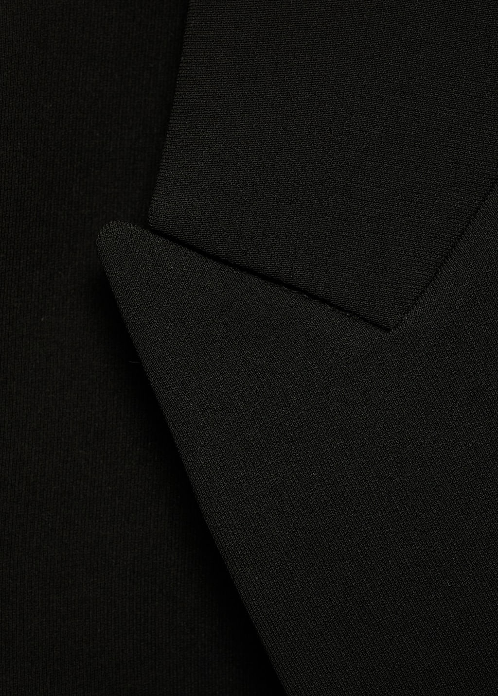 Americana-Iguana-negro