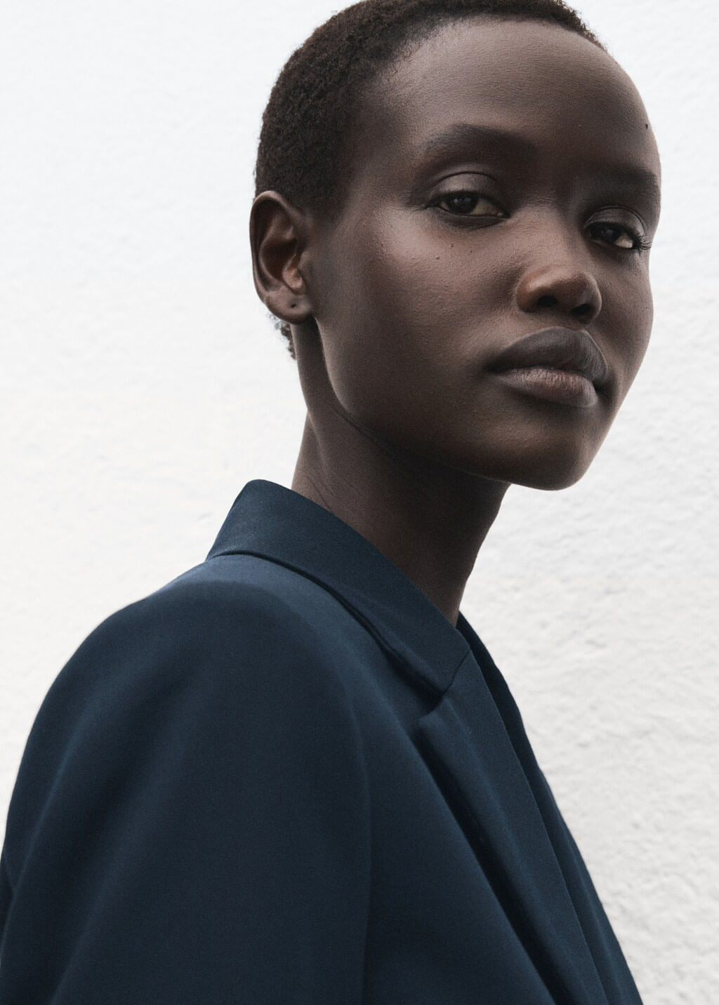 Americana-Boreal-marino