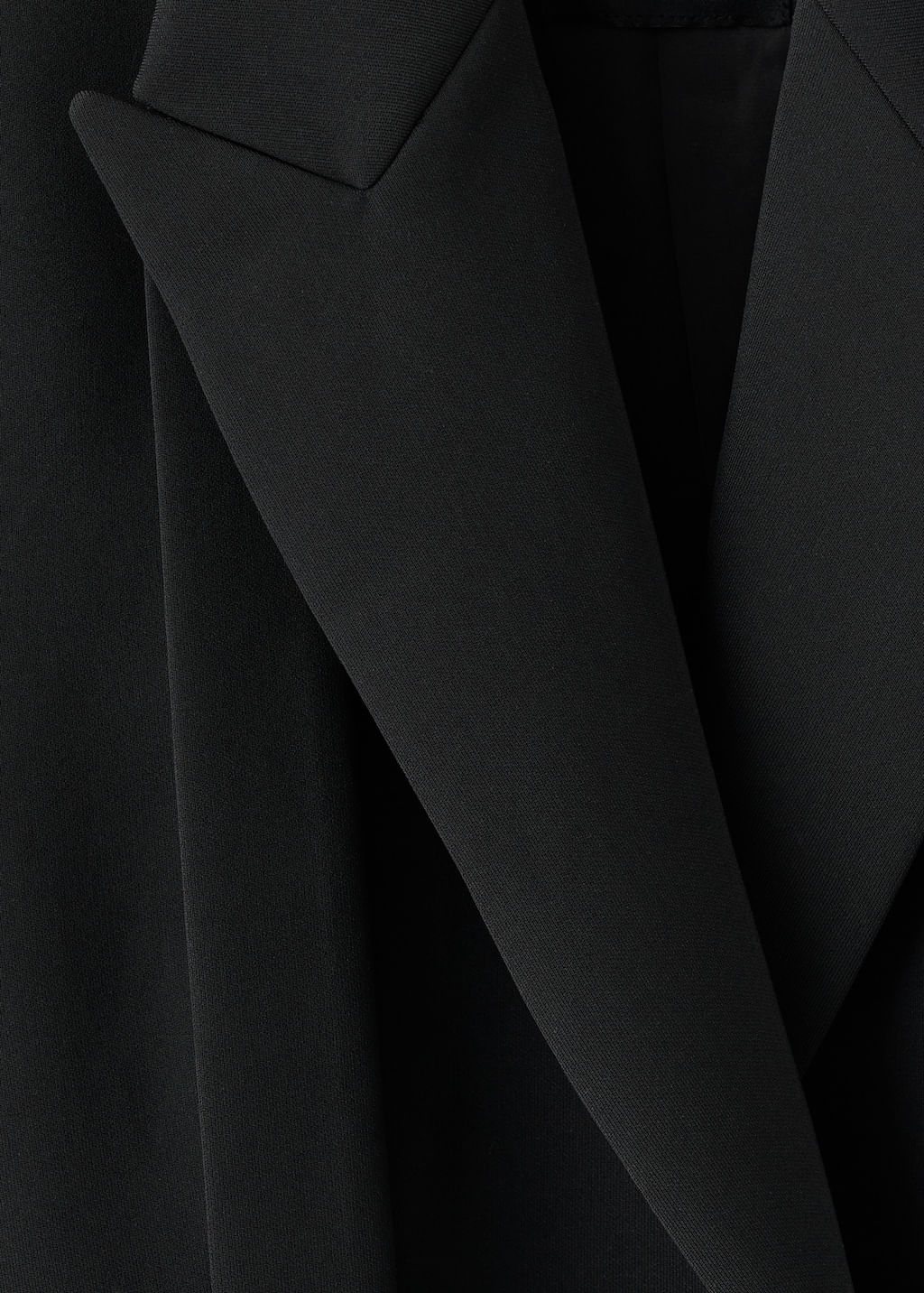 Americana-Iguana-negro