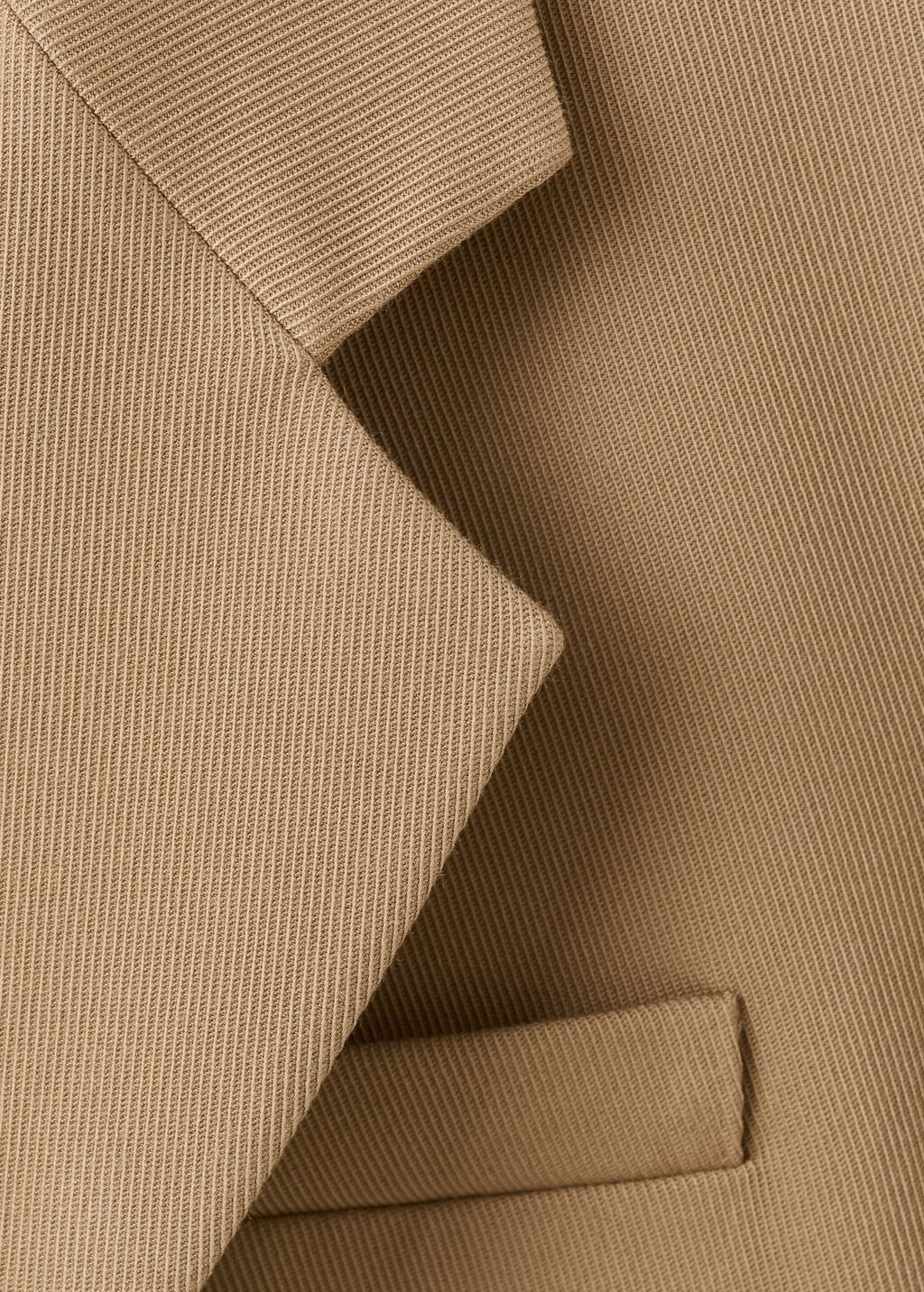 Americana-Osaka-camel