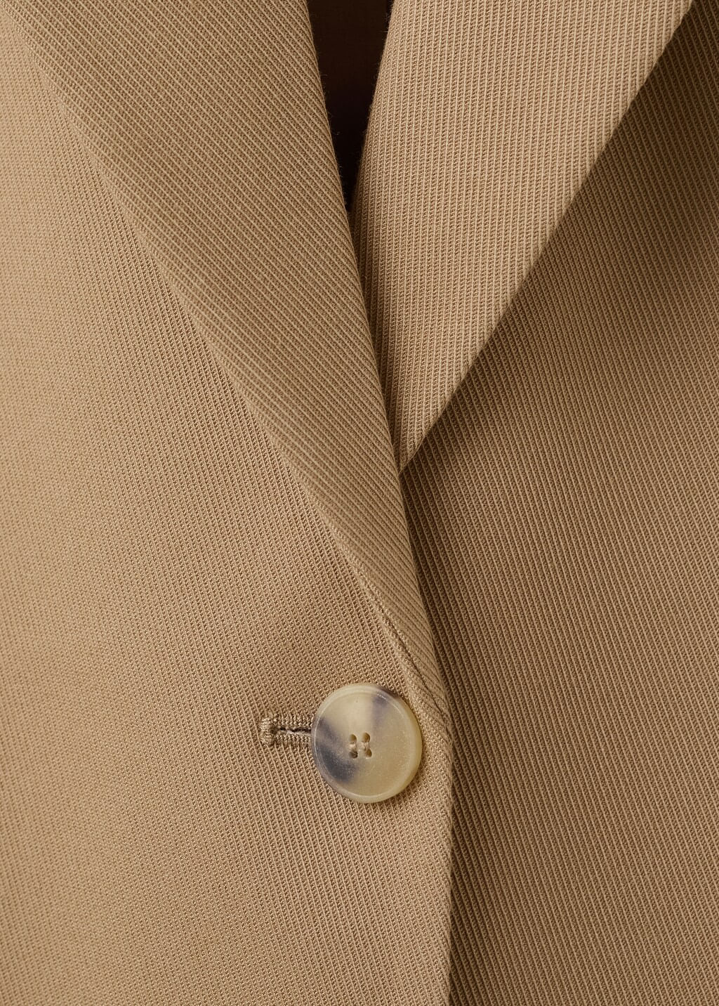 Americana-Osaka-camel