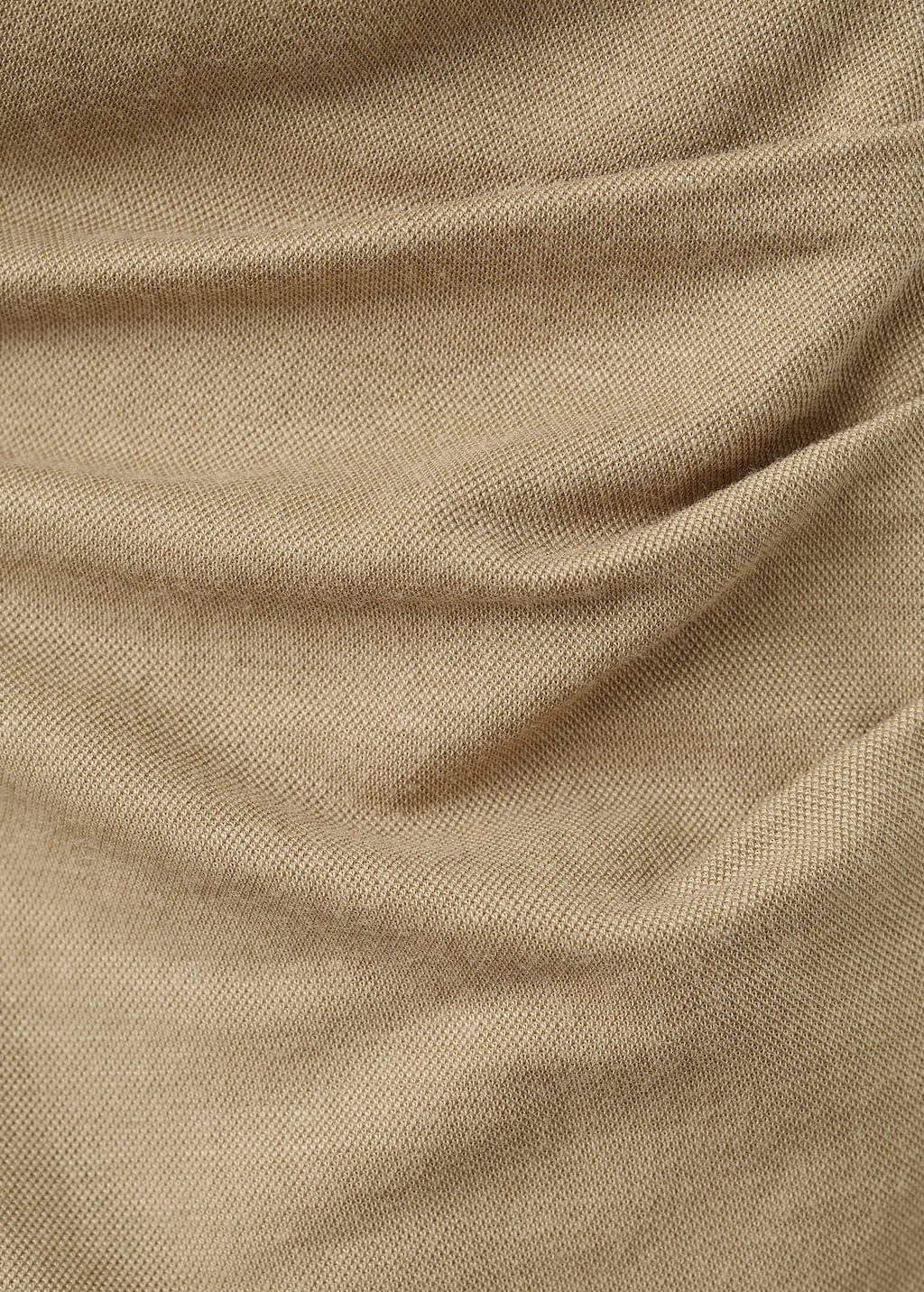 Top-Can-camel