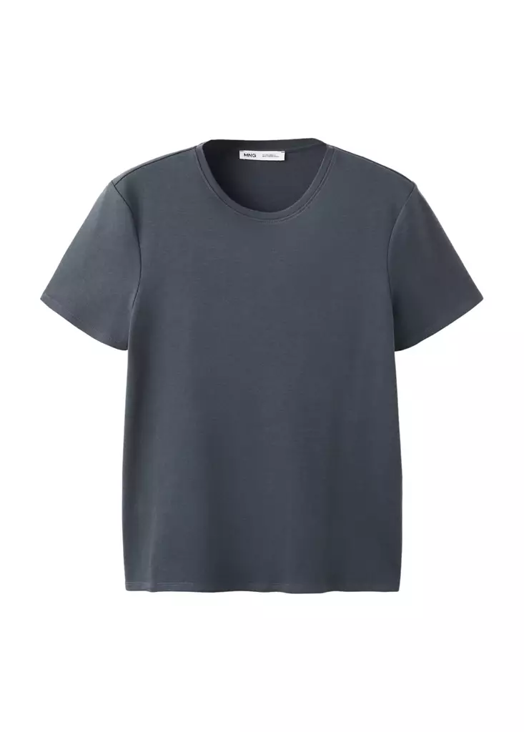 Camiseta-Riti-gris