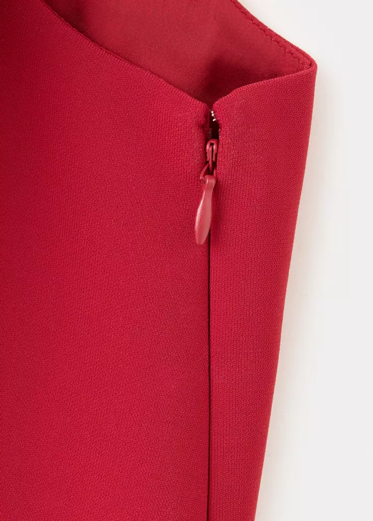 Top-Iguana-rojo