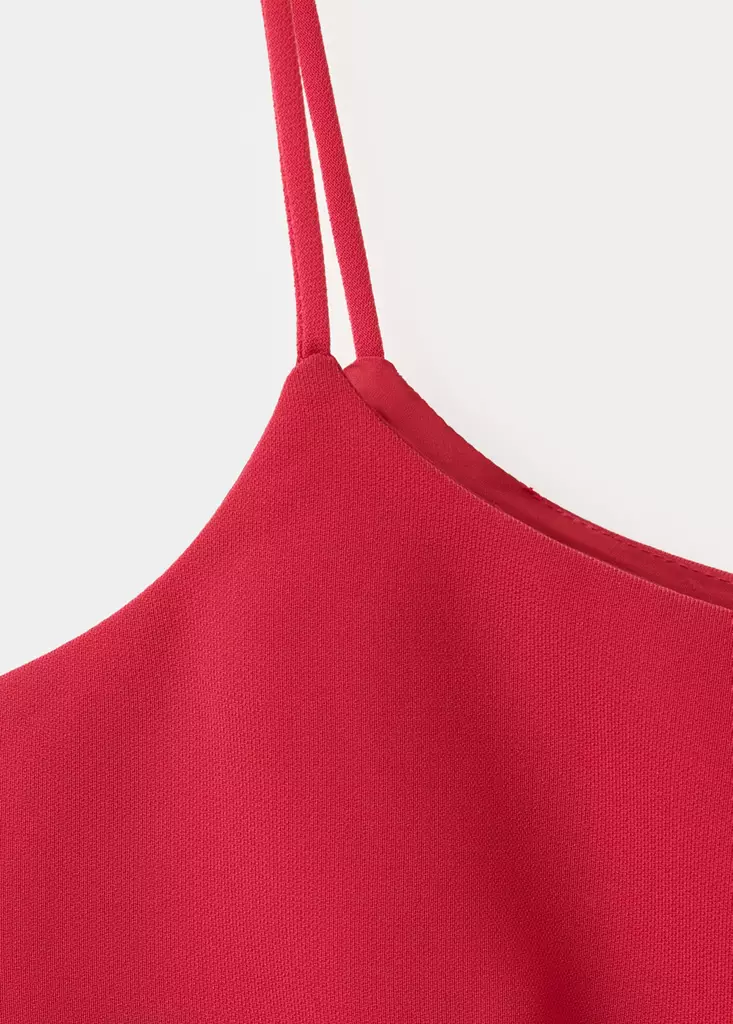 Top-Iguana-rojo