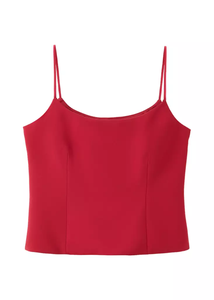 Top-Iguana-rojo